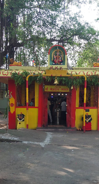 Gallery image